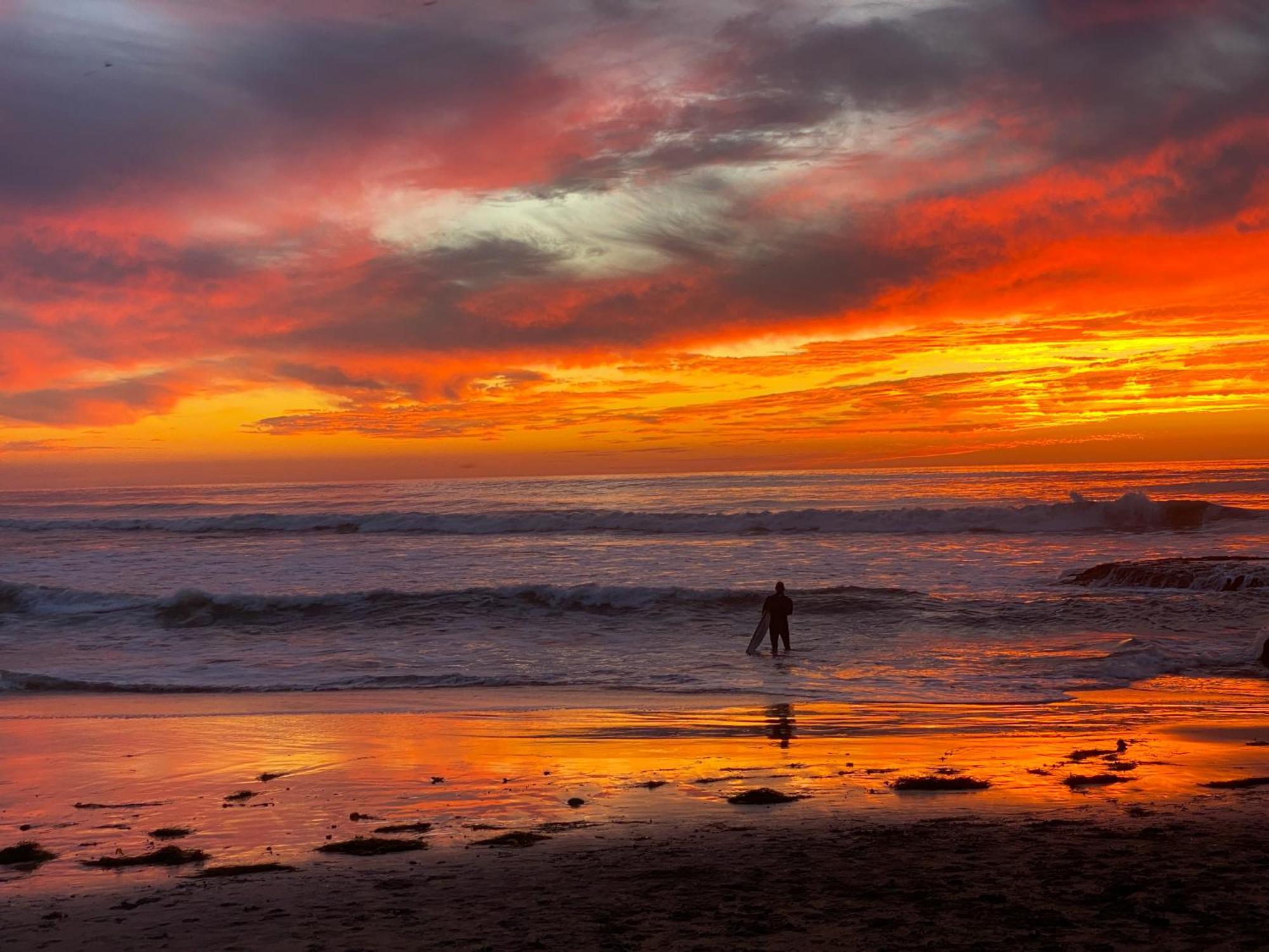 Modern Newly Renovated 2br In Heart Of Ocean Appartement San Diego
