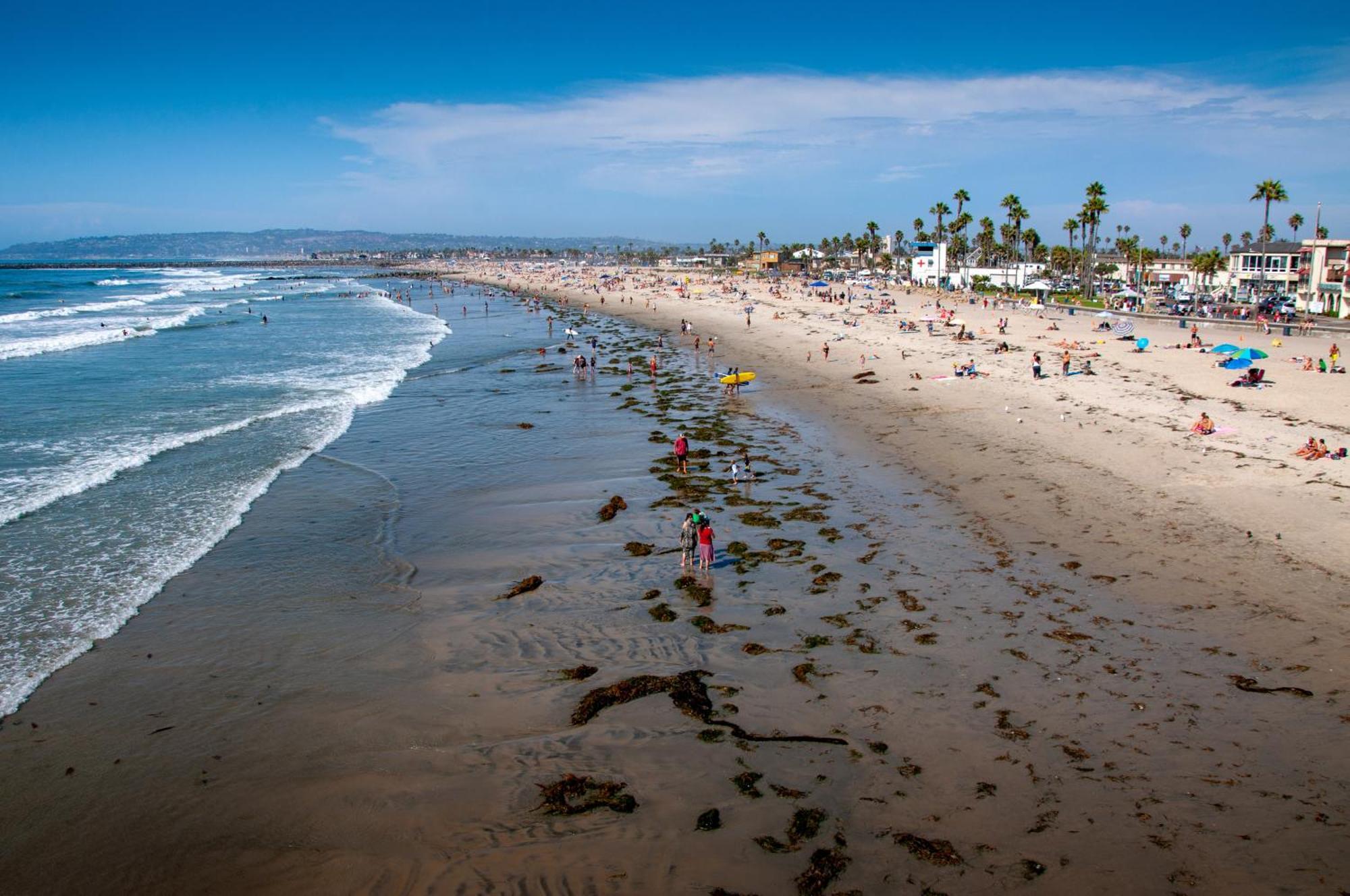 Appartement Modern Newly Renovated 2br In Heart Of Ocean San Diego